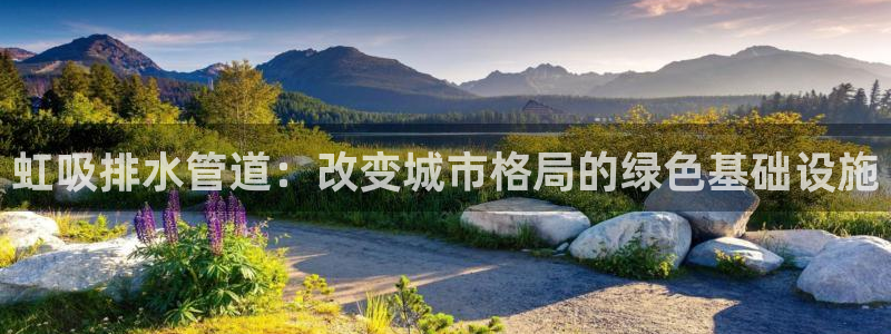 天辰娱乐直属