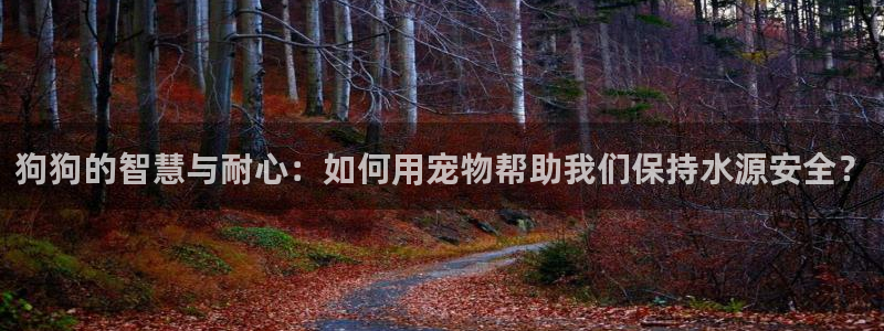 天辰娱乐挂机