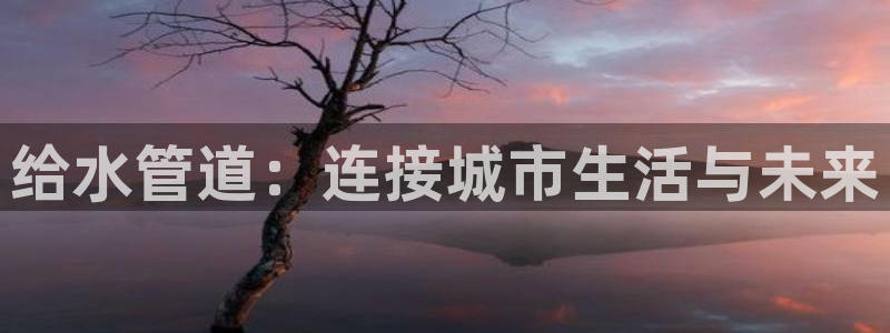 天辰娱乐厕所