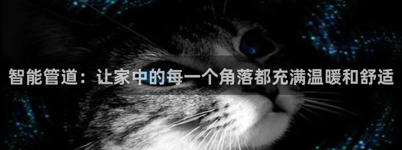 天辰娱乐平台测速