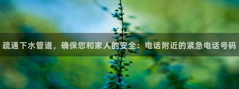 天辰娱乐44616