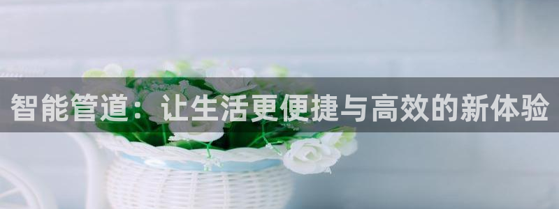 天辰娱乐小姐