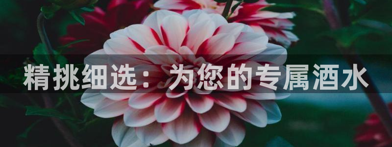 天辰娱乐国际