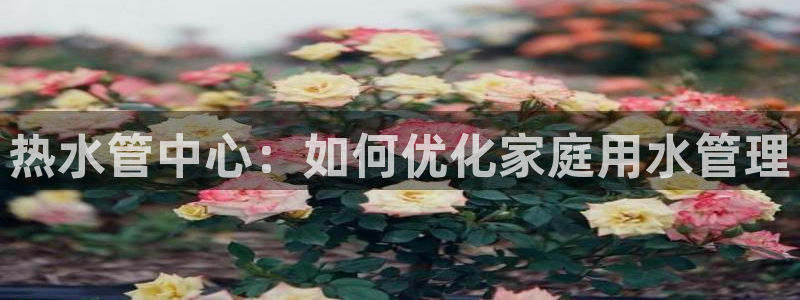 天辰娱乐游戏平台怎么样