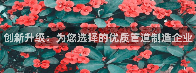 北京天辰娱乐