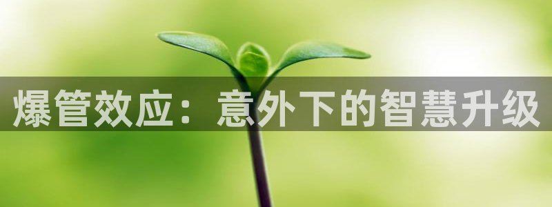 天辰娱乐平台地址