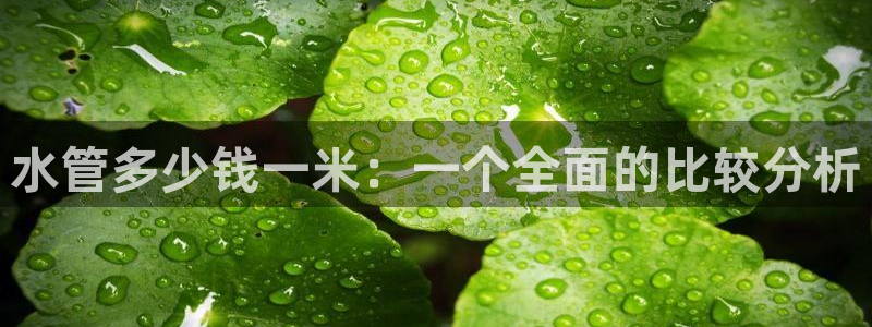 北京天辰娱乐