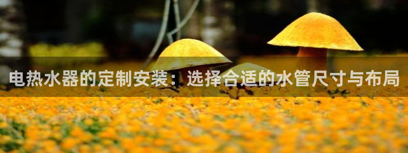 菲律宾天辰娱乐