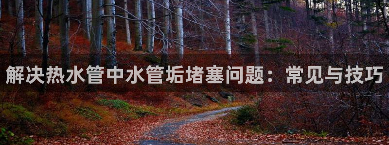 天辰娱乐平台app下载