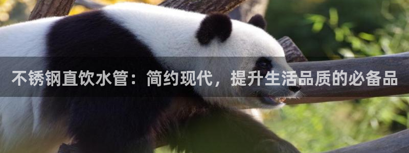 天辰娱乐娱乐平台