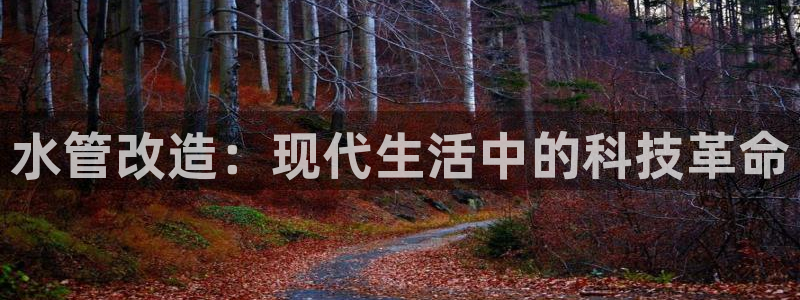 天辰娱乐平台地址