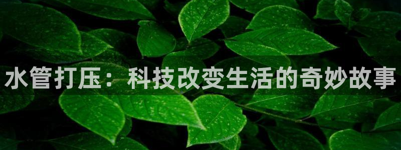 天辰娱乐在线登录注册
