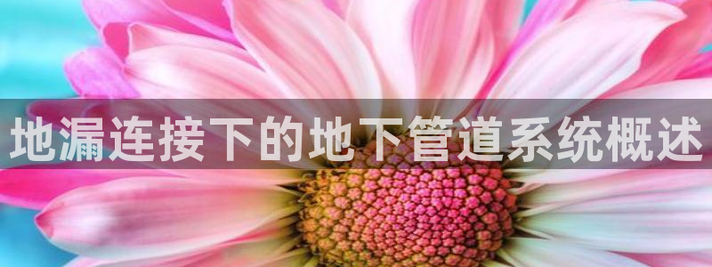 天辰天富娱乐登录