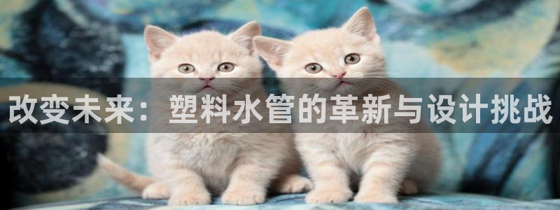 天辰娱乐的网址首页