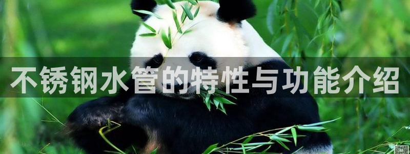 天辰娱乐游戏平台怎么样